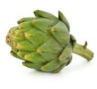 Artichoke 雅枝竹