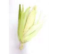 Sweet Corn,White